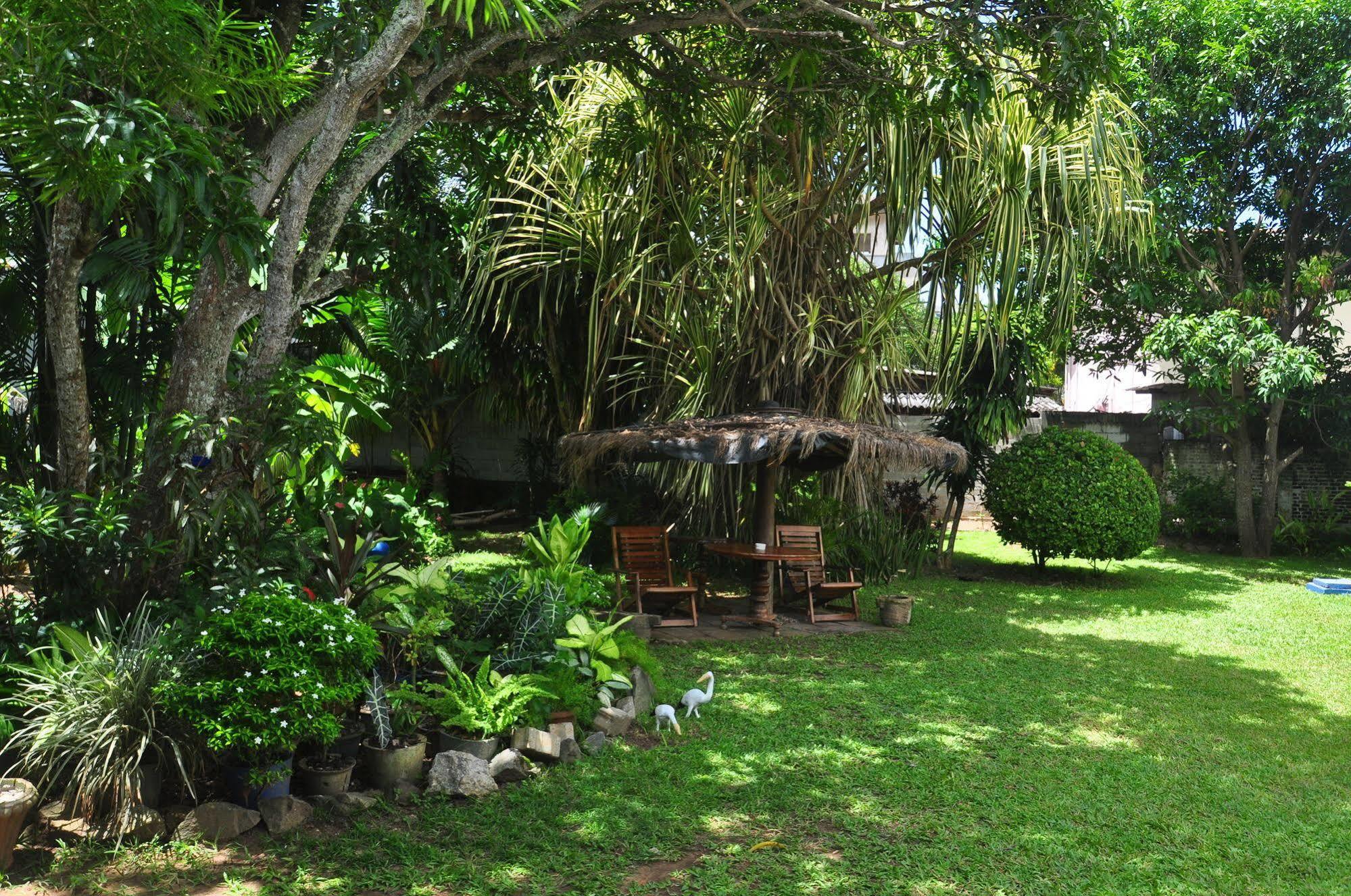 Blue Seas Guest House Dehiwala-Mount Lavinia Exteriör bild