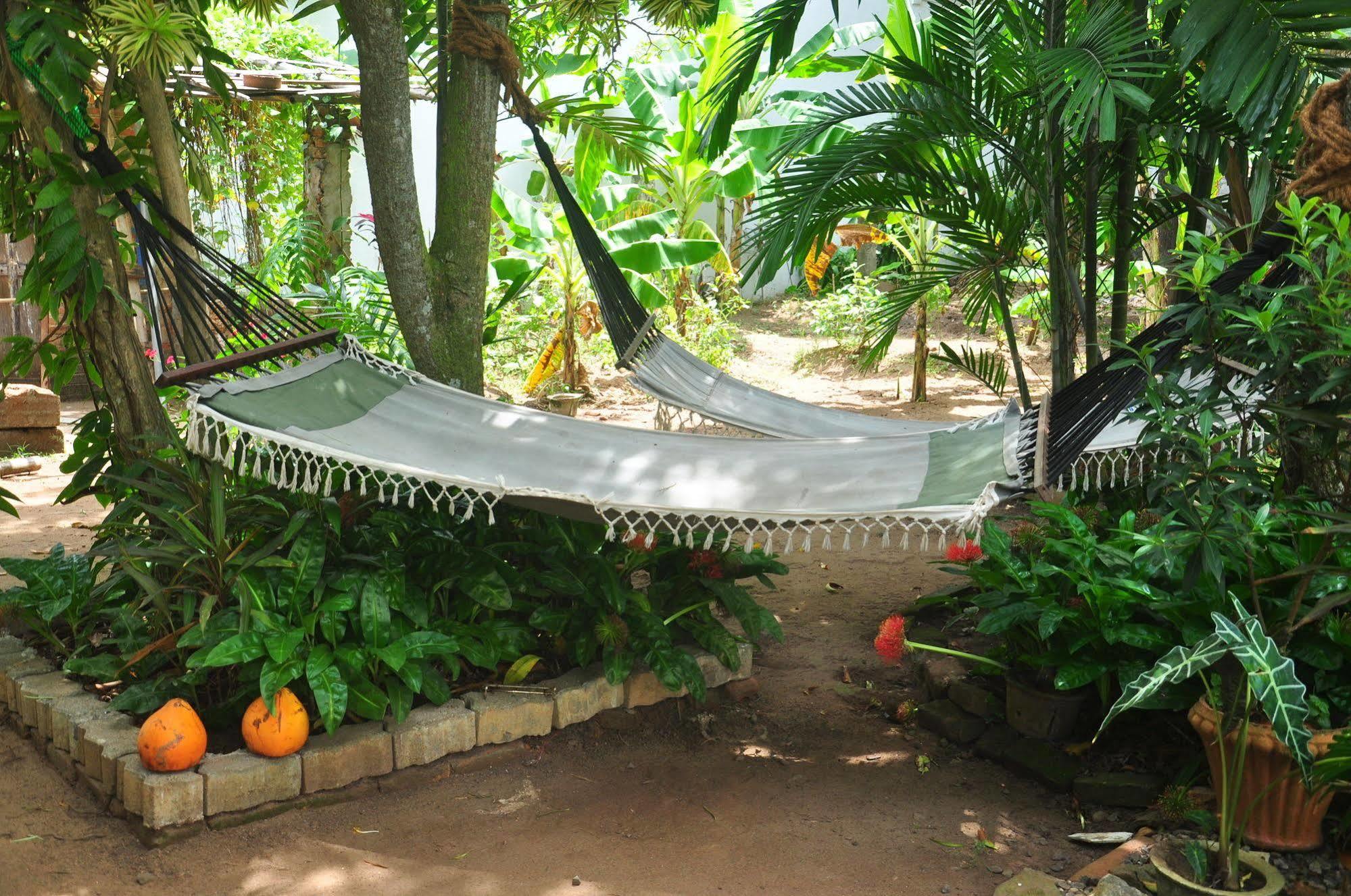 Blue Seas Guest House Dehiwala-Mount Lavinia Exteriör bild